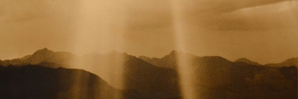 Halal Nation ☪︎'s banner