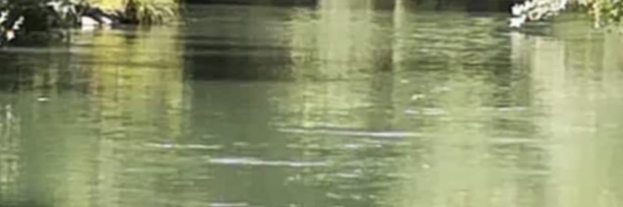 topaktaslar's profile banner image