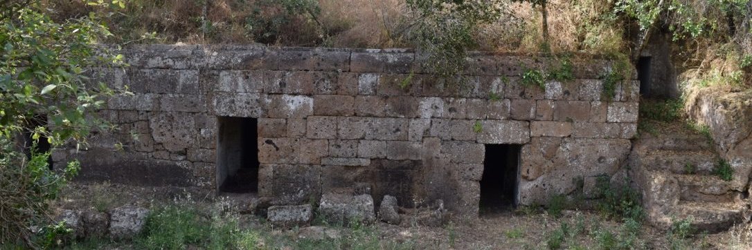 Amelia W. Eichengreen banner