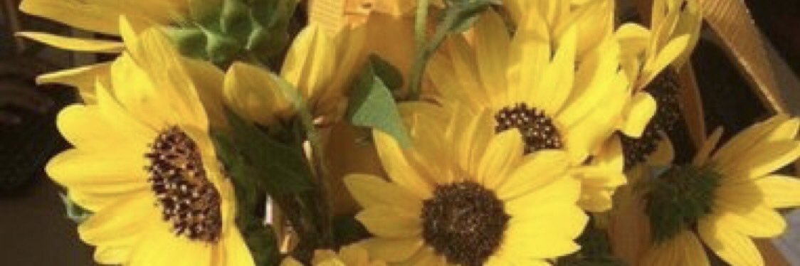 i_s6of's profile banner image