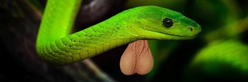 asseadrien's profile banner image