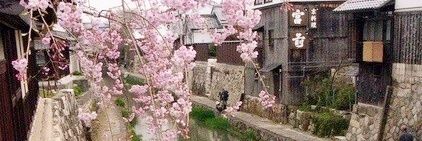 PastellFloof's profile banner image