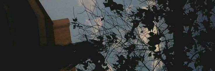 L banner
