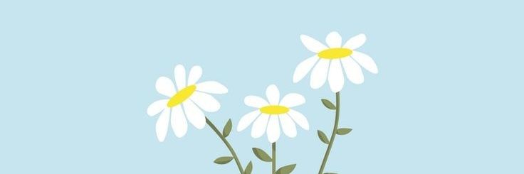 InmicaLopez's profile banner image