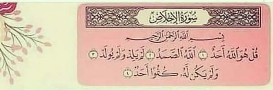 عصفورة الجنه♥️🕊️ banner