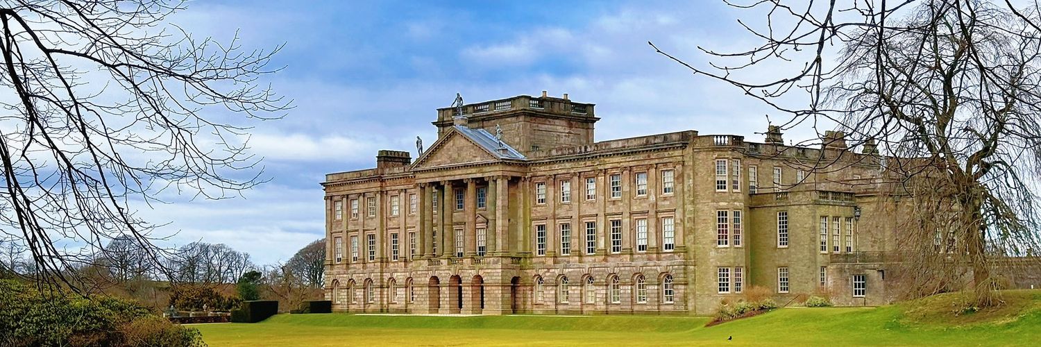 role model 🏅 banner