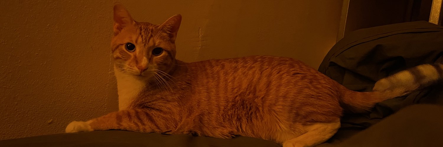 tiredprobably's profile banner image