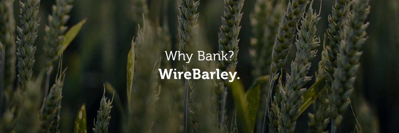 WireBarley banner