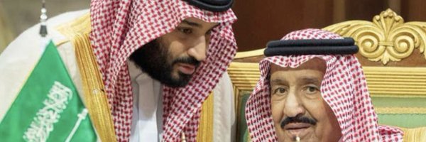 alnahasarticles Profile Banner