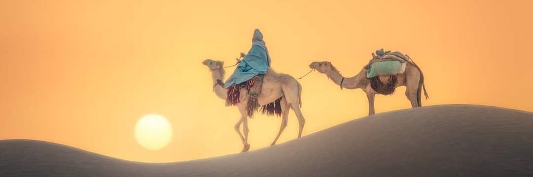 شعرٌ و أدبٌ عربيّ's banner