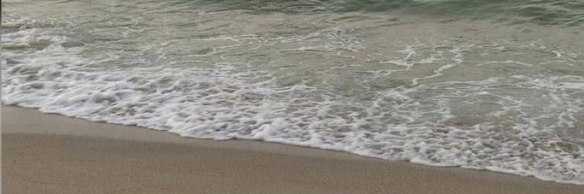 Rebs🐦‍🔥|-/ days lie dormant banner