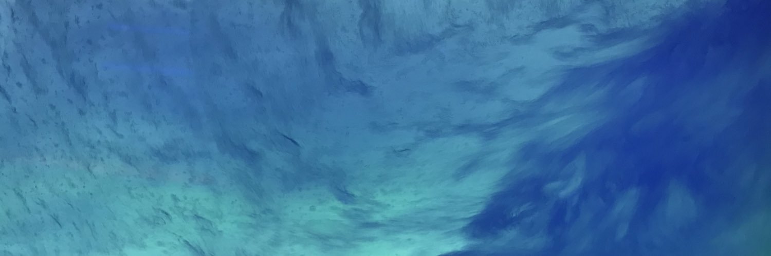 Daisuke Sumida banner