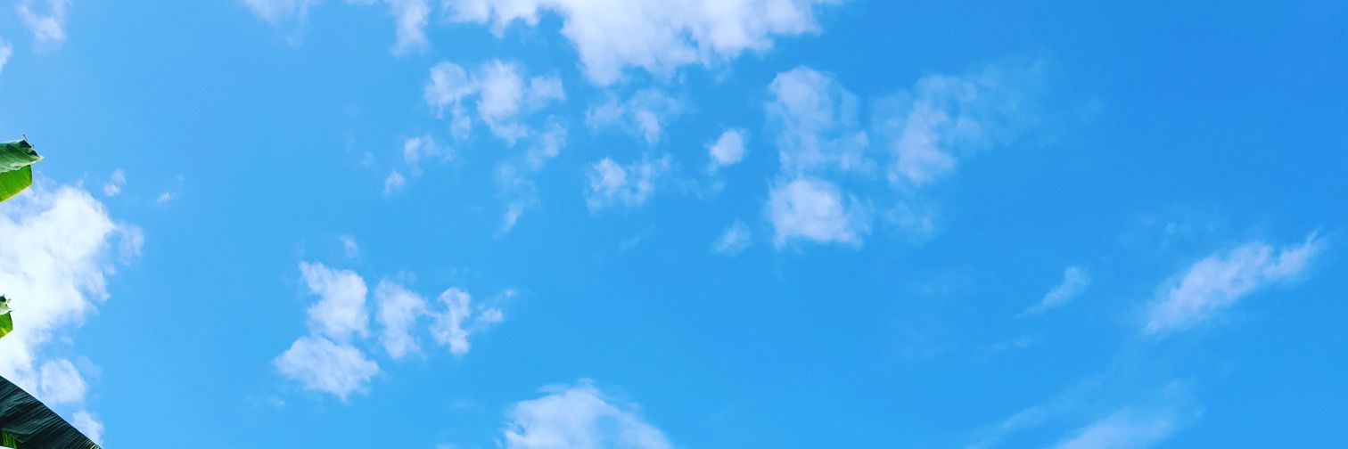 purelitysing's profile banner image