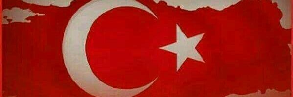 gonusengul's profile banner image