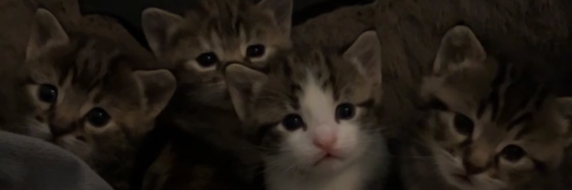 Kaïs banner