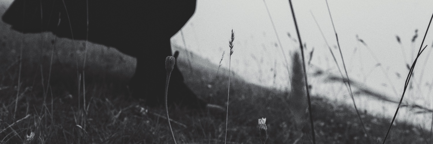 Ваверуш banner