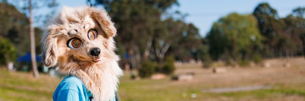 RetrieverShaun Profile Banner