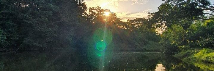 eliezer_olvr's profile banner image