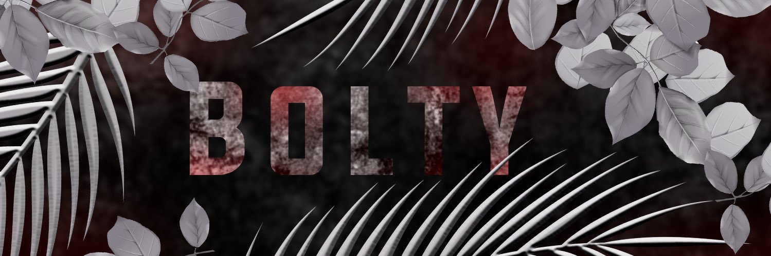 Bolty banner