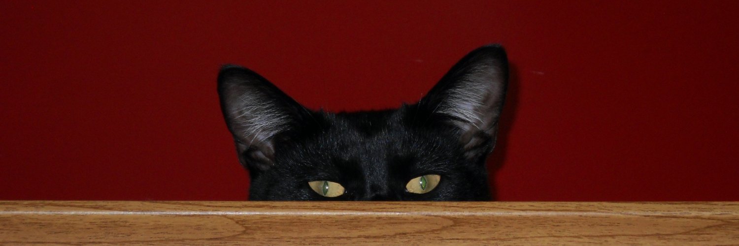 Sandra Jensen banner