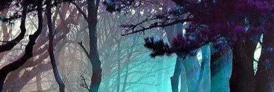 serenity_punk's profile banner image
