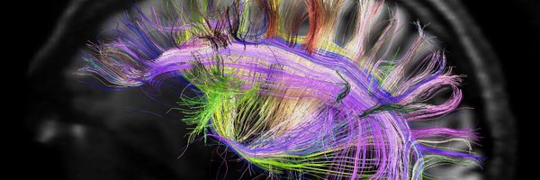 mikintheNL Profile Banner