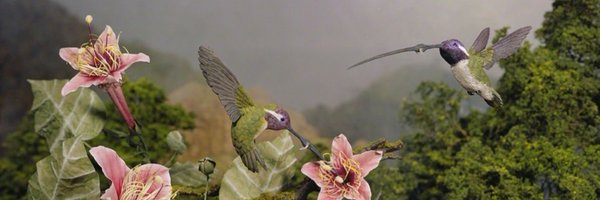 mostroubles Profile Banner