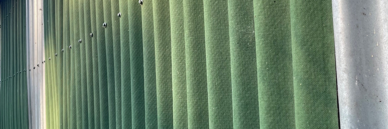 Trevor Lambert banner