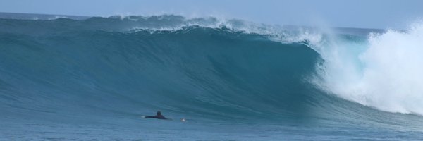 NMcGreivy Profile Banner