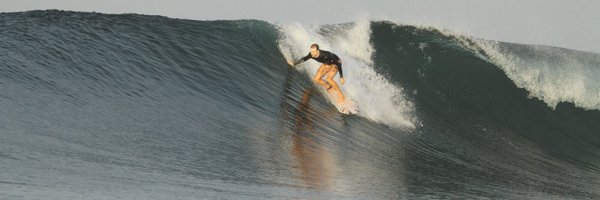 NMcGreivy Profile Banner
