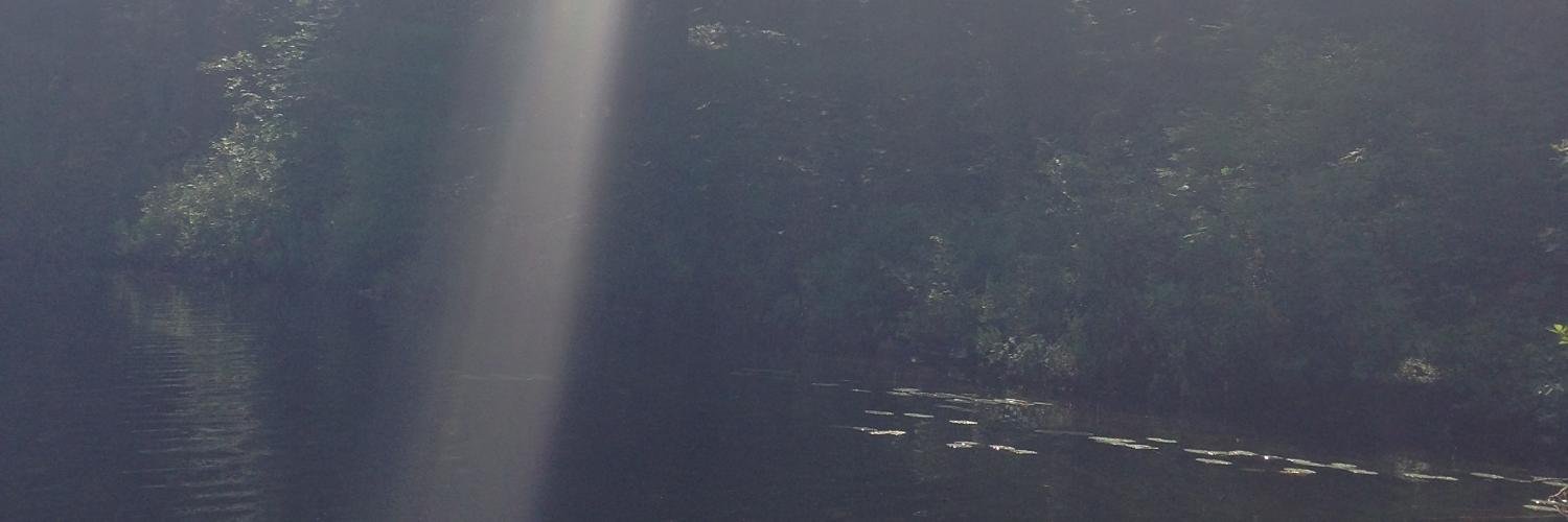 Monarch Butterfly banner