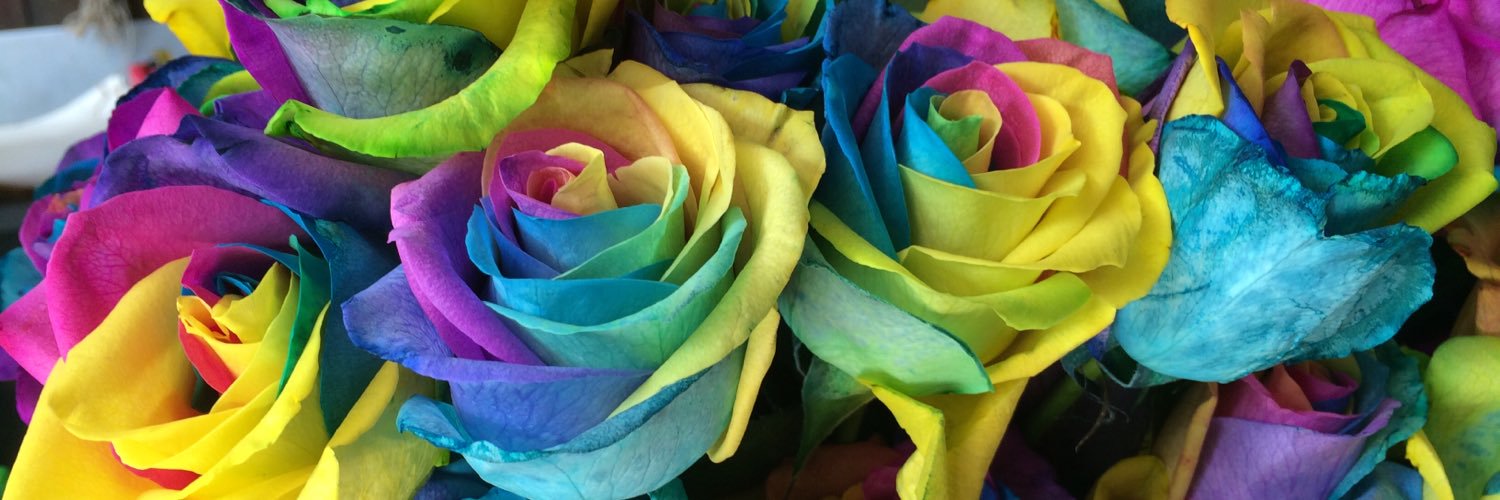 JessNicolini's profile banner image