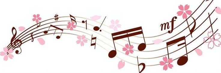 sofialfrt's profile banner image