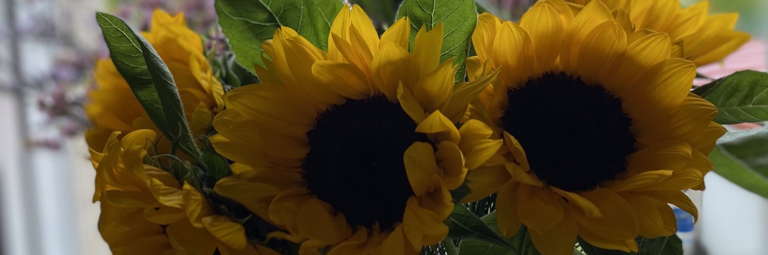 MeryNog's profile banner image