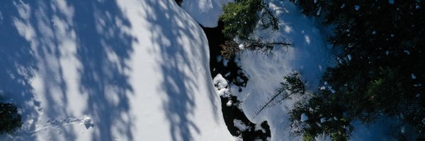 GWF_pubs Profile Banner