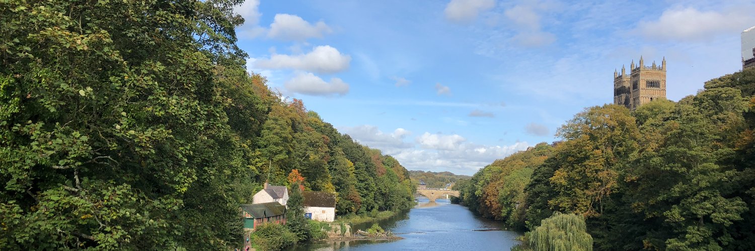 Centre for Institutions and Political Behaviour banner