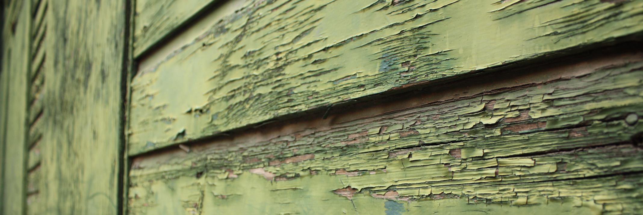SeleneQuiroga's profile banner image