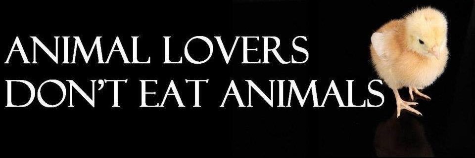 V4Animals's profile banner image