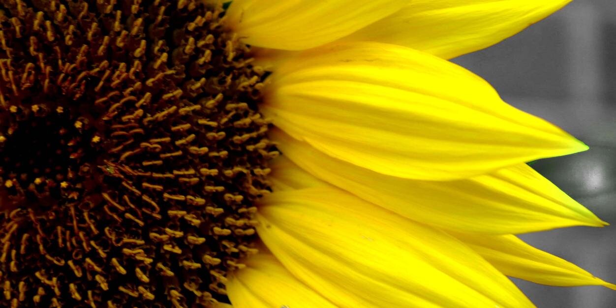 Meg_Bevan's profile banner image