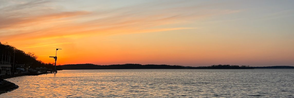 Clara Strecker banner