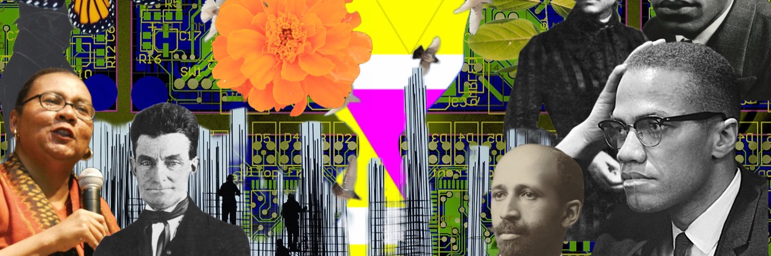 The League of Revolutionaries for a New America banner