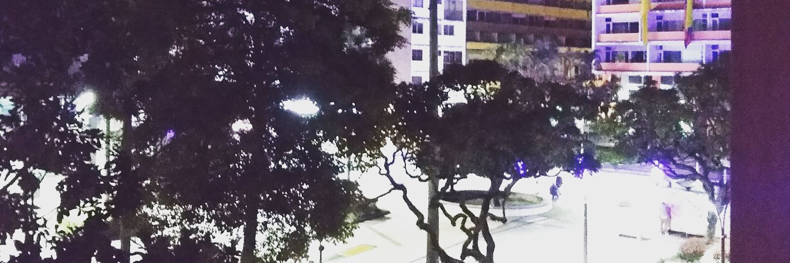 Camilo Garzón banner