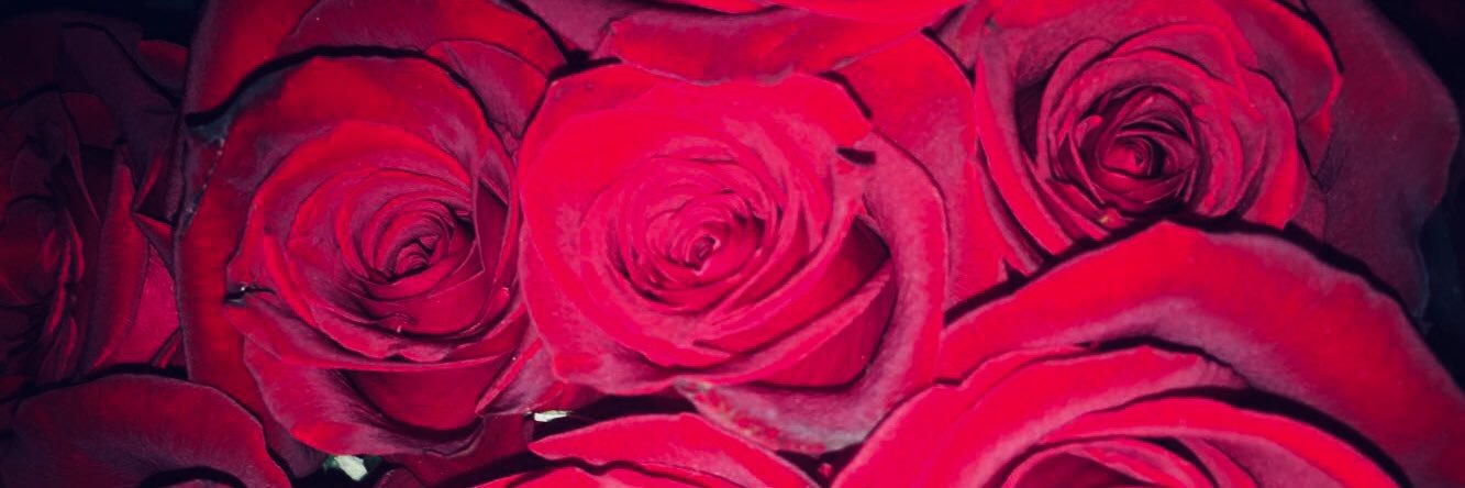 wendyochoaaa's profile banner image