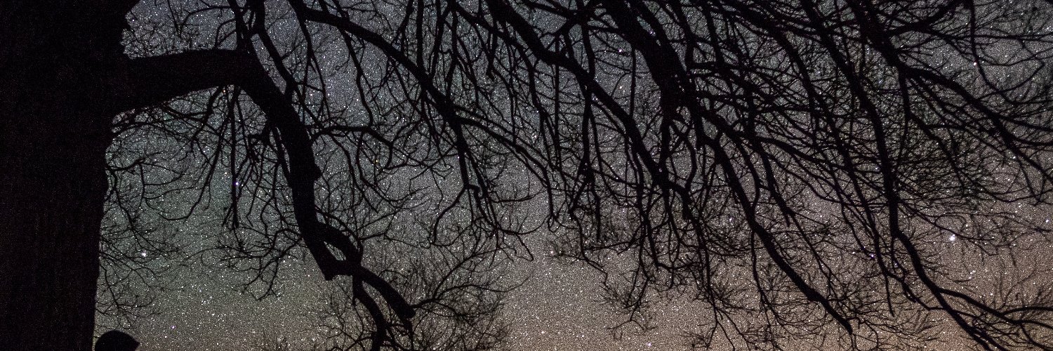 StatikChiri's profile banner image