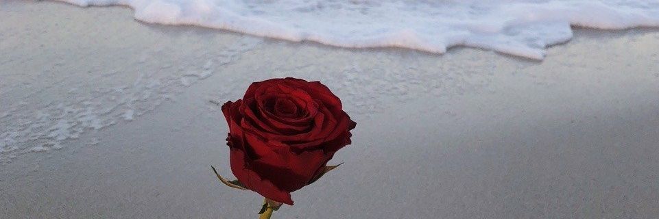 eisabsss's profile banner image
