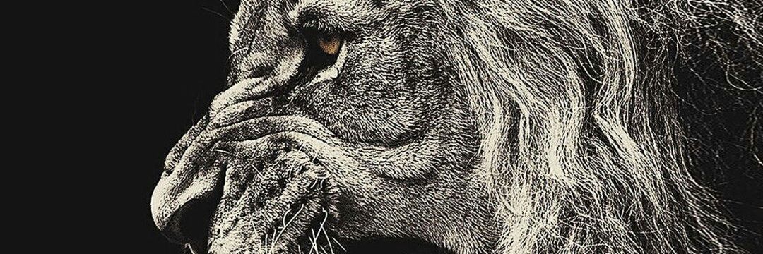 GavLCFC's profile banner image