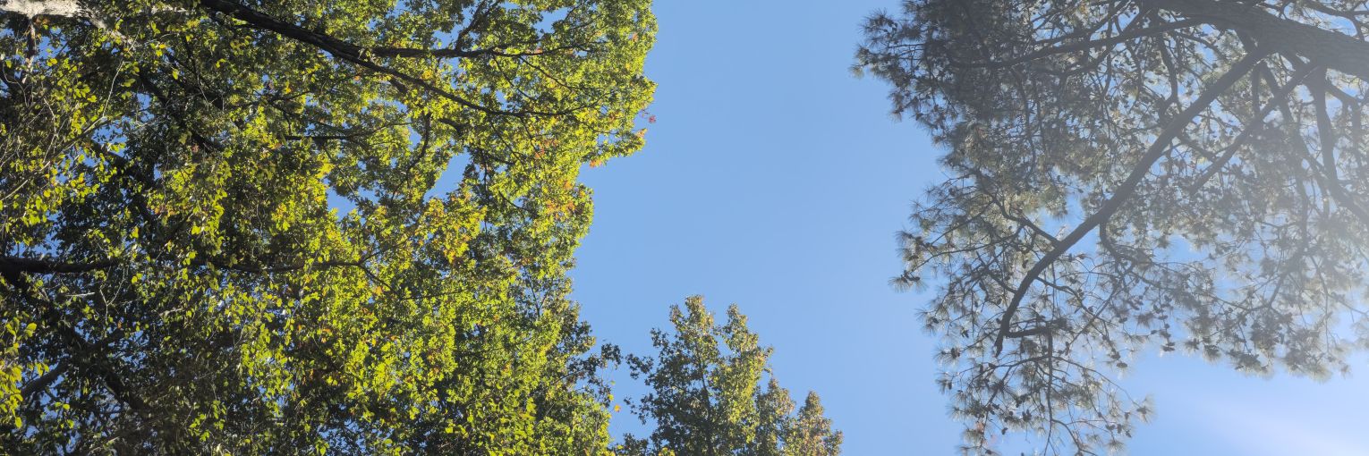 celestialsarahh's profile banner image