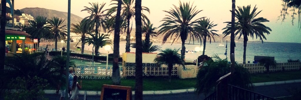 Chris Frost banner