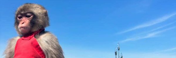 drphiaa Profile Banner