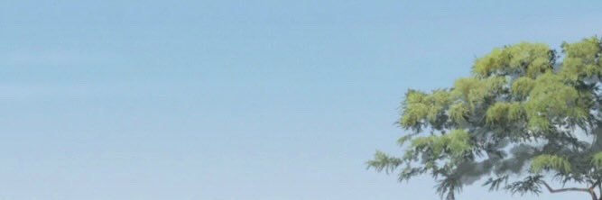 dingohuskey's profile banner image